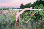 Synchrodogs Animalism Naturalism. 3 Synchrodogs. Un duo fotografico a Venezia