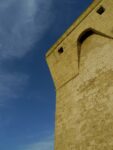 Torre Guaceto 2 e1402337947529 Arte e natura a braccetto in Puglia: Fulco Pratesi tiene a battesimo la collettiva che celebra l’oasi naturalistica di Torre Guaceto