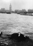 72 Hitchcock a Parma: una mostra da paura