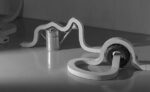 DAcquisto foto presentazione La teoria delle stringhe secondo Daniele D’Acquisto. Al Museo Pascali di Polignano