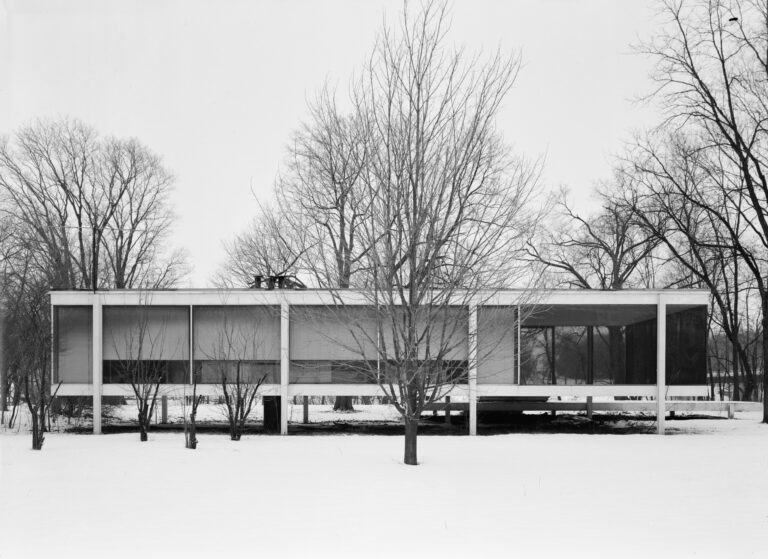 Farnsworth House Ludwig Mies van der Rohe 2 Cinque case iconiche del Novecento, in un cartoon