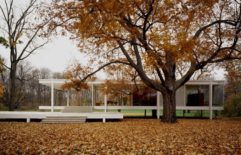 Farnsworth House Ludwig Mies van der Rohe Cinque case iconiche del Novecento, in un cartoon