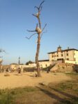 Giuseppe Penone a Forte Belvedere foto Valentina Grandini 12 Immagini in anteprima dalla mostra fiorentina di Giuseppe Penone a Forte Belvedere. Che riapre anche grazie al sostegno del Gioco del Lotto