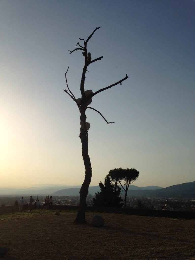 Giuseppe Penone a Forte Belvedere foto Valentina Grandini 9 Giuseppe Penone a Firenze. La Prospettiva Vegetale che parla all’uomo