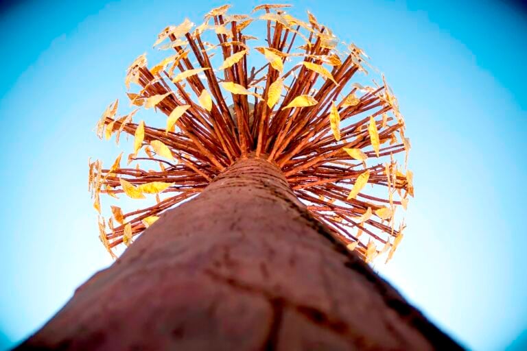 Giuseppe Penone, Prospettiva Vegetale, Firenze 2014 - foto ©Paolo Frullini