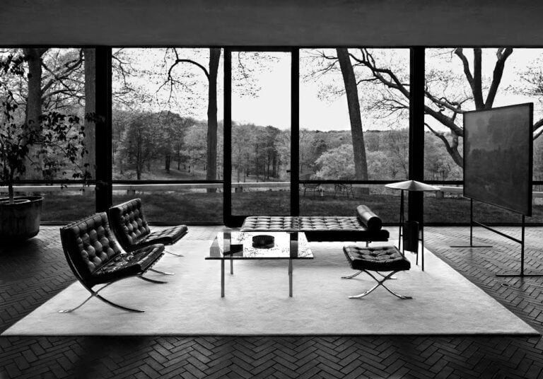 Glass House Philip Johnson Cinque case iconiche del Novecento, in un cartoon