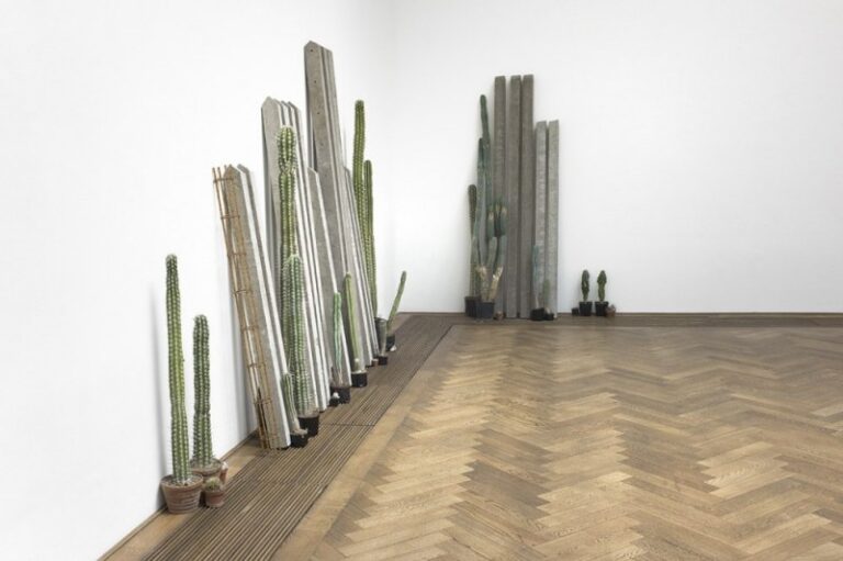 Julia Rometti e Victor Costales installation view. Courtesy the artists and Jousse Entreprise Gallery Paris. Kunsthalle Basel 2014 Photo Serge Hasenbohler 4 Doppia vita alla Kunsthalle Basel