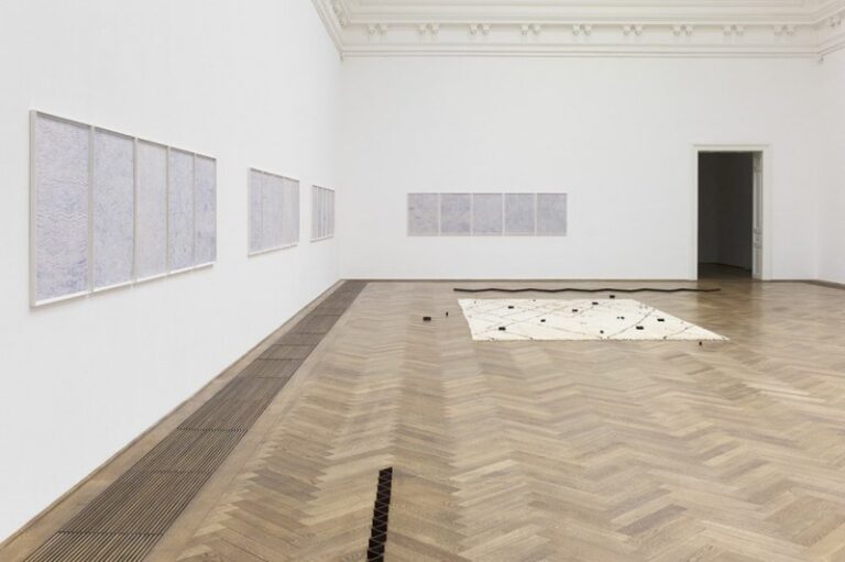 Julia Rometti e Victor Costales installation view. Courtesy the artists and Jousse Entreprise Gallery Paris. Kunsthalle Basel 2014 Photo Serge Hasenbohler Doppia vita alla Kunsthalle Basel