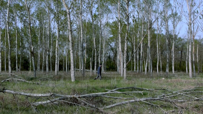 Supranatura uno still 1 Se la campagna lodigiana incontra i paesaggi bulgari. L’artista Dem si mette dietro la cinepresa per il film indipendente Supra Natura, presentato al Parco Belgiardino di Lodi…