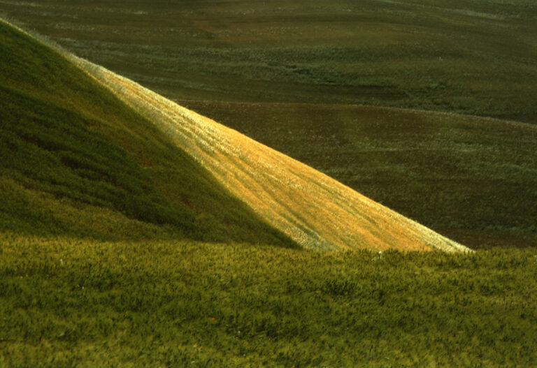 73 Franco Fontana Marche 1994 Franco Fontana: passaggio a Nord-Est