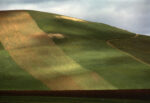 74 Franco Fontana Marche 1994 Franco Fontana: passaggio a Nord-Est