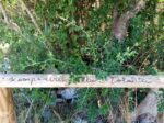 Apulia 8 La Land Art in versione salentina. Un festival a Specchia per un’altra idea-weekend