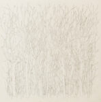 Giovanni De Lazzari Senza Titolo pencil on paper 44 x 44 cm 2013 2014 courtsey the artist and Laveronica arte contemporanea Giovanni De Lazzari l’entomologo. In trasferta sicula