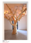 Jacob Hashimoto Tree III Lucrezio contemporary. La natura delle cose a Verona