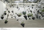 Mikala Dwyer Hanging Garden Lucrezio contemporary. La natura delle cose a Verona