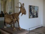 Opere al Musée Picasso 1 20 settembre 2014: ecco il giorno della riapertura a Parigi del Musée Picasso. Spazi raddoppiati e un nuovo ingresso dopo lavori infiniti costati il posto alla presidente Anne Baldassari