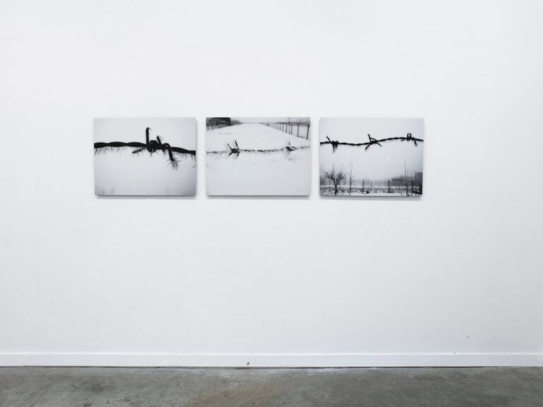 11.Mircea Cantor Protection 2010 Mart. Le mostre della stagione 2014/2015