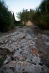 4 Photo di Carmelo Alaimo Fallimenti epici nella Valle dei Templi. Alterazioni Video ad Agrigento