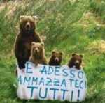 Bvq2kHqIcAAIOVl Daniza, l’addio della rete. Centinaia di post per mamma orsa, uccisa dagli uomini. Tra Twitter e Facebook, una raccolta di foto, disegni, grafiche, vignette