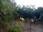 Cesare Viel Pratiche di Land Art nel rispetto dell’ambiente. Da Cesare Viel a Silvia Giambrone, ecco le immagini dei work in progress degli artisti presenti all’Apulia Land Art Festival