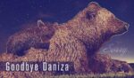 Hyb Art Daniza, l’addio della rete. Centinaia di post per mamma orsa, uccisa dagli uomini. Tra Twitter e Facebook, una raccolta di foto, disegni, grafiche, vignette