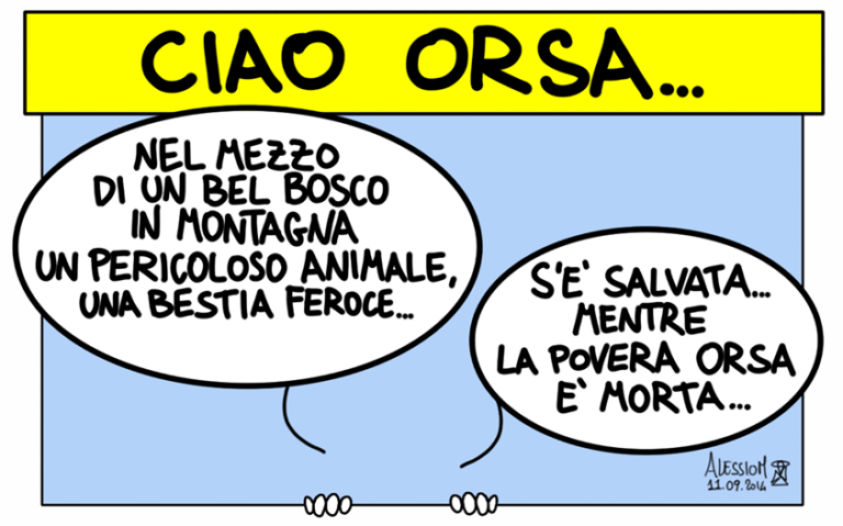 Informazione Libera Daniza, l’addio della rete. Centinaia di post per mamma orsa, uccisa dagli uomini. Tra Twitter e Facebook, una raccolta di foto, disegni, grafiche, vignette