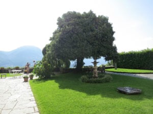 Fondazione Lindenberg. La dedizione all’arte a Lugano