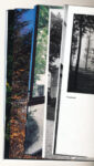 Le CorbusierÔÇÖs Trees I Baryta Print 2013 Dear Mondrian... I dialoghi col passato di Julie Rafalski