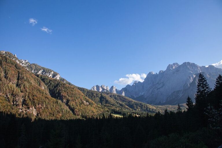 Parco Altrememorie Val Saisera 2 Cento anni dalla Grande Guerra. Apre il parco d’arte Altrememorie in Val Saisera, in Friuli. Per ripensare in bellezza le ferite lasciate dal conflitto mondiale