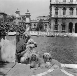 Gli occhiali, icone dell’icona Peggy Guggenheim. Ecco chiccera al party offerto da Safilo a Venezia. Con un’edizione speciale dei mitici occhiali della diva immortale dell’arte