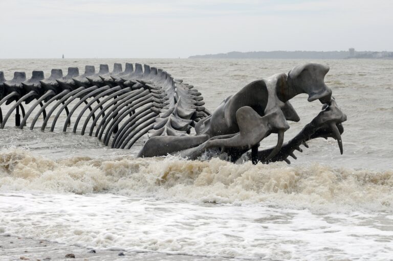 Serpent d ocean Bernard Renoux LVAN. Maxxi. Le mostre della stagione 2014/2015