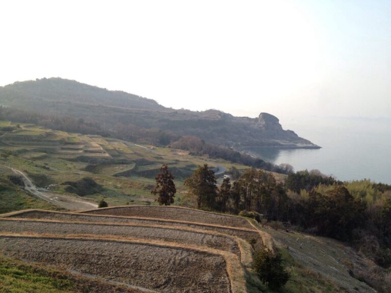 Teshima Reportage da Naoshima, l’isola giapponese dell’arte