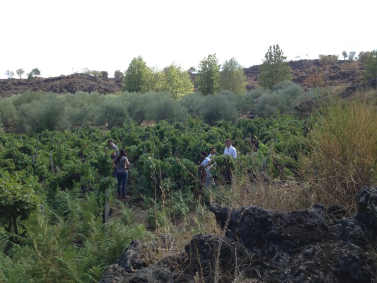 Viaggio in Sicilia 2014 foto Adriano Glaviano 7 Arte e vino, una liaison poetica. Il Viaggio in Sicilia di Planeta: cinque artisti ascoltano il paesaggio, evocando Emily Dickinson. Le foto d’autore inedite