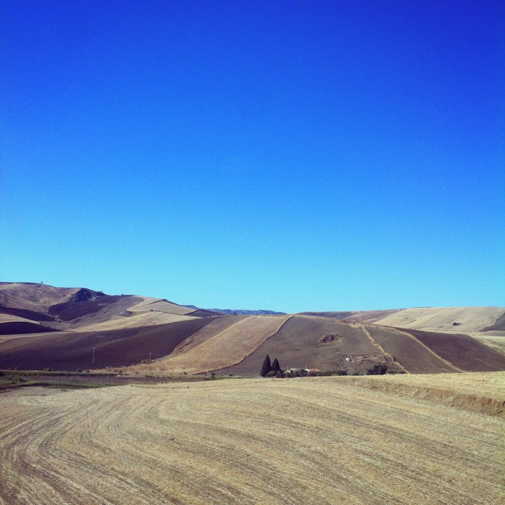 Arte e vino, una liaison poetica. Il Viaggio in Sicilia di Planeta: cinque artisti ascoltano il paesaggio, evocando Emily Dickinson. Le foto d’autore inedite