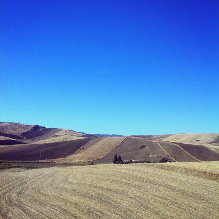 Viaggio in Sicilia 2014 foto Ignazio Mortellaro Arte e vino, una liaison poetica. Il Viaggio in Sicilia di Planeta: cinque artisti ascoltano il paesaggio, evocando Emily Dickinson. Le foto d’autore inedite