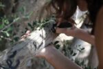 Virginia Zanetti Pratiche di Land Art nel rispetto dell’ambiente. Da Cesare Viel a Silvia Giambrone, ecco le immagini dei work in progress degli artisti presenti all’Apulia Land Art Festival