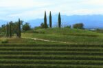 Y.Friedman JB.Decavèle with DAC Vigne Museum ph.Luigi Vitale i Livio Felluga. Con Yona Friedman il museo è nel vigneto