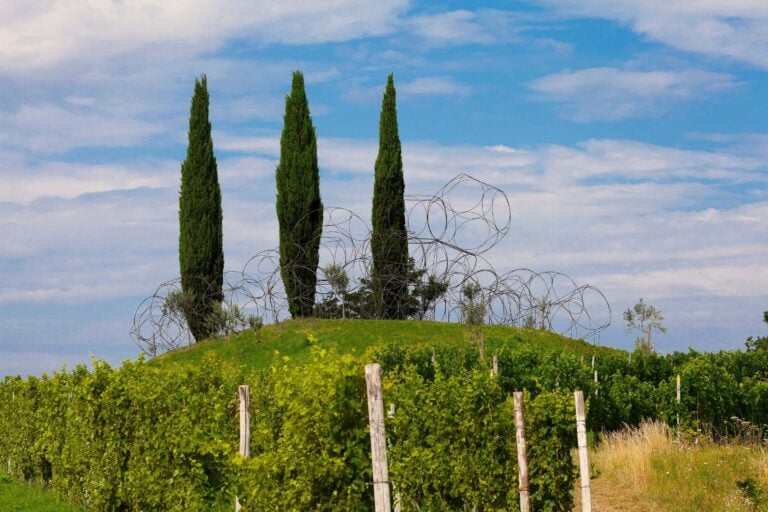 Y.Friedman JB.Decavèle with DAC Vigne Museum ph.Luigi Vitale b Livio Felluga. Con Yona Friedman il museo è nel vigneto