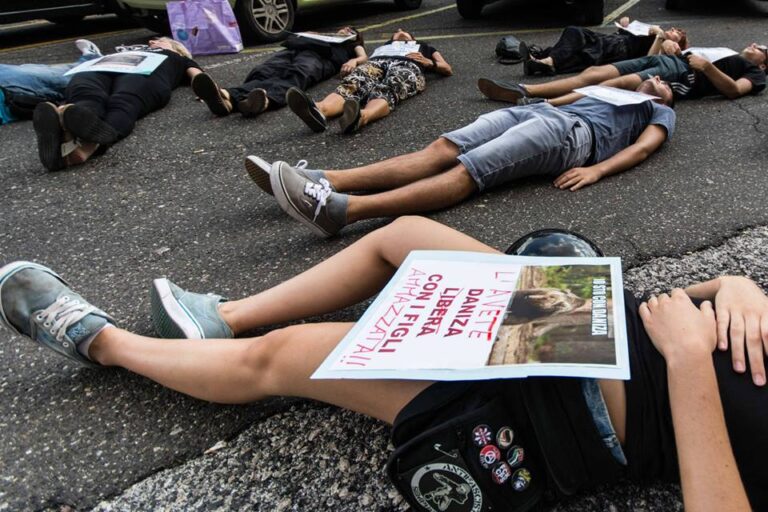 flash mob ministero dellambiente 2 Daniza, l’addio della rete. Centinaia di post per mamma orsa, uccisa dagli uomini. Tra Twitter e Facebook, una raccolta di foto, disegni, grafiche, vignette