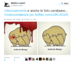 matteo lunelli Daniza, l’addio della rete. Centinaia di post per mamma orsa, uccisa dagli uomini. Tra Twitter e Facebook, una raccolta di foto, disegni, grafiche, vignette