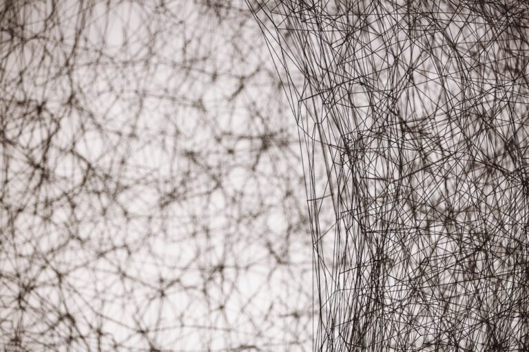 Chiharu Shiota A Long Day Tenuta Dello Scompiglio 2014 ©Photo Guido Mencari 3 Naufragar m'è dolce... nella rete di Chiharu Shiota
