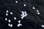 ComON le poesie di Ivan Tresoldi liberate nel lago. Photo Emanuele Scilleri Urban art sul Lago di Como: Opiemme e Massimo Giacon tra gli ospiti della terza edizione di ComON, mostra itinerante per la città