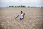 Gian Maria Tosatti Un campo di grano per l'arte. Gian Maria Tosatti a Napoli