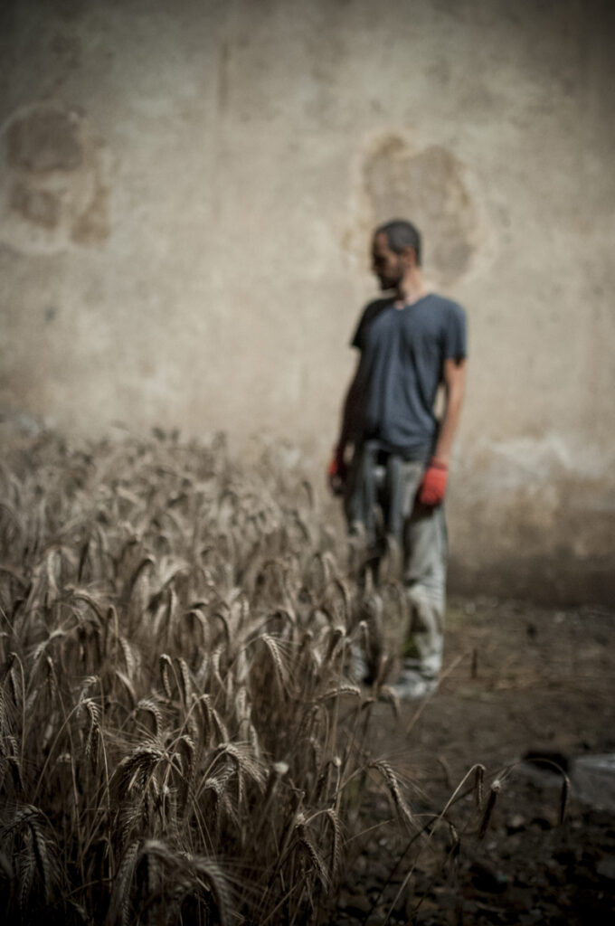 Un campo di grano per l’arte. Gian Maria Tosatti a Napoli