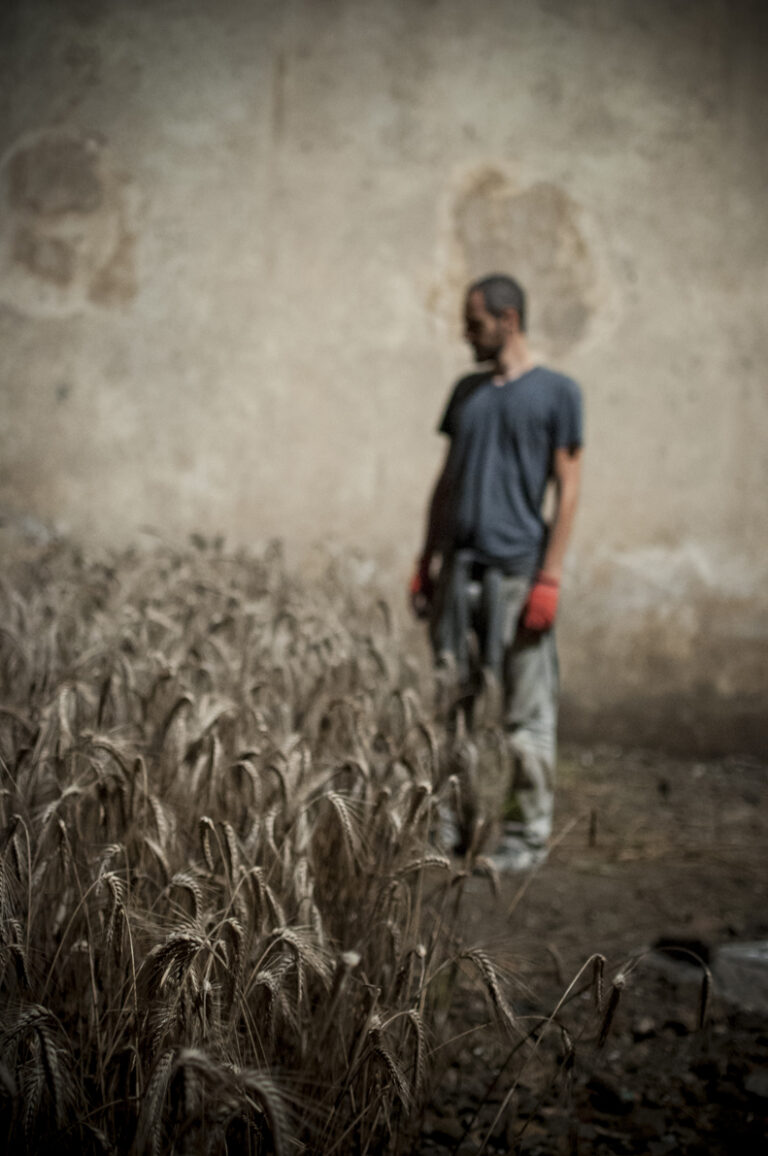 Gian Maria Tosatti 7 Un campo di grano per l'arte. Gian Maria Tosatti a Napoli