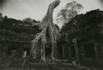 I termpli di Angkor foto Kenro Izu 800x546 Dal Mare Nostrum alle Ande. Tris di mostre a Modena