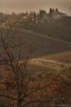 Il Borgo di Ama foto Alessandro Moggi Ecco le immagini della nuova installazione di Hiroshi Sugimoto al Castello di Ama. Che festeggia quindici anni di prestigiosi site specific nel cuore del Chianti