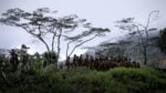 Il sale della terra foto Decia Films Wim Wenders, Sebastião Salgado e l’ecologia. Arriva nelle sale italiane il film vincitore di Un Certain Regard a Cannes: ecco immagini e trailer