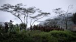 Il sale della terra ©Juliano Ribeiro Salgado Festival del Film di Roma, terza giornata. Al Maxxi va in scena Sebastiao Salgado secondo Wim Wenders: un viaggio fisico e mentale sui percorsi impossibili del fotografo