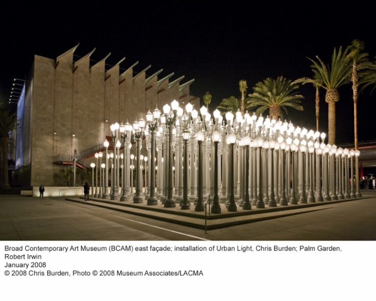 LACMA Broad Contemporary Art Museum 800x642 Close-up Los Angeles. Ascesa di una stella